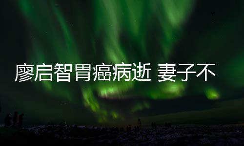 廖启一程不眠不休癌病智胃最后逝 送他妻子